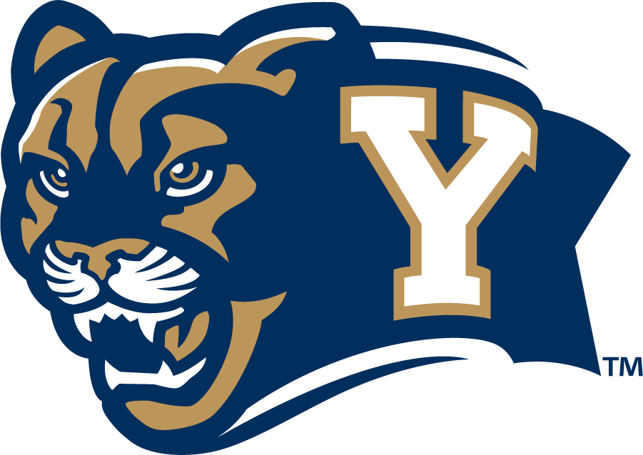 Brigham Young Cougars 2010-2014 Secondary Logo diy DTF decal sticker